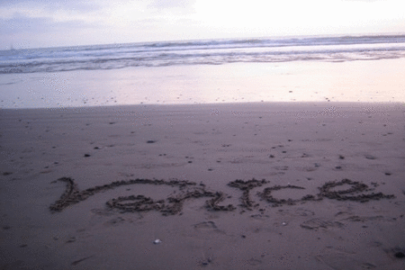 short slideshow of Venice Beach sights